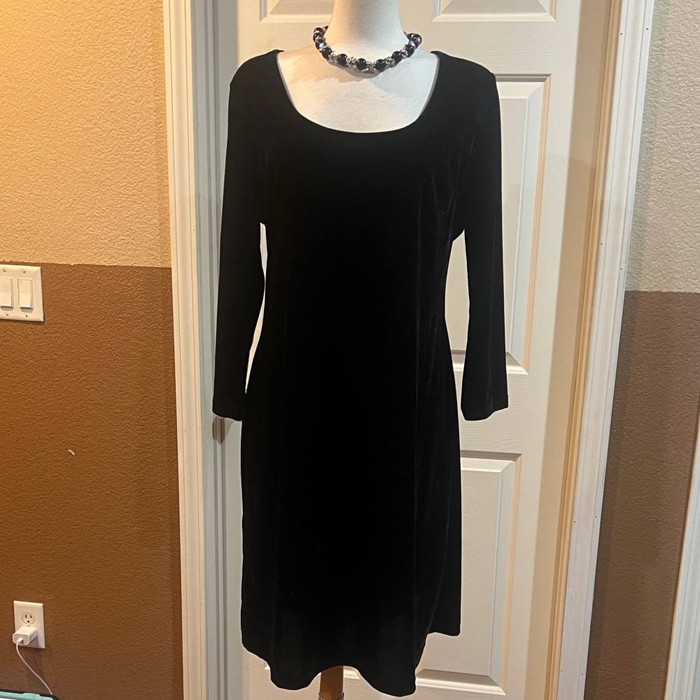 Elegant Black Velour Dress Long Sleeve